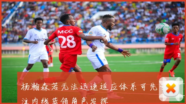 杨瀚森若无法迅速适应体系可先专注内线蓝领角色发挥